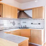 Verdin By Interhome *